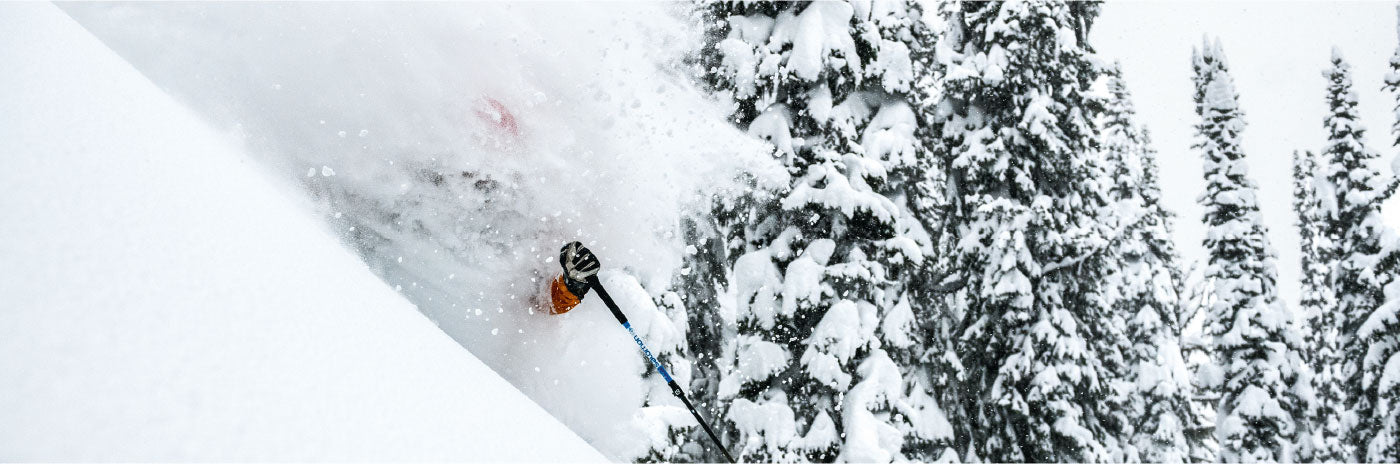 Snowshot