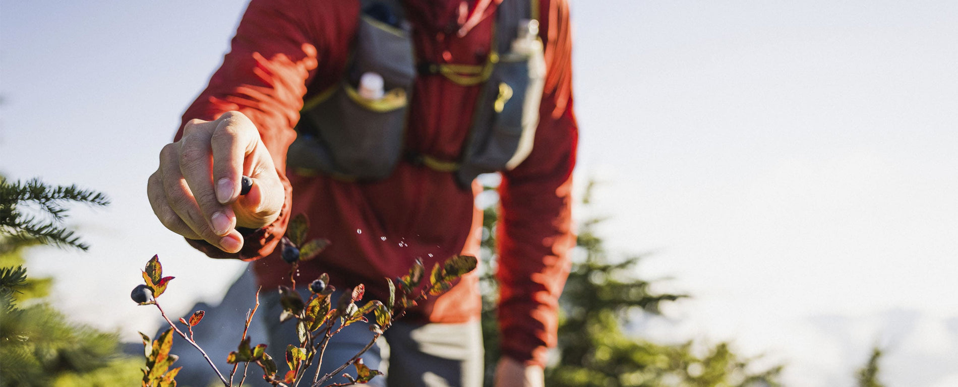 Nueva Temporada Accesorios