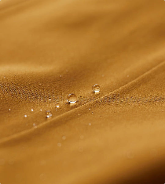 Card Collection PFAS