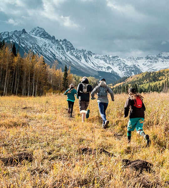 Card Collection GG25 Todos