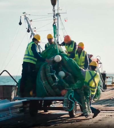 Card Collection Netplus