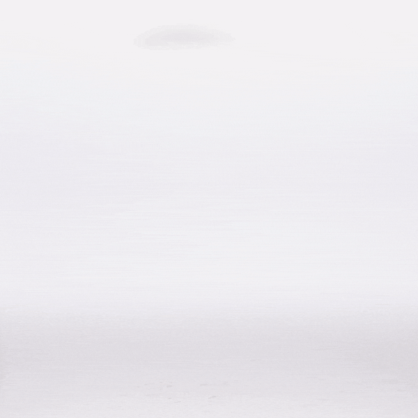 W'S All Seasons Hemp Canvas Bib Overalls | EWBN | PLGY